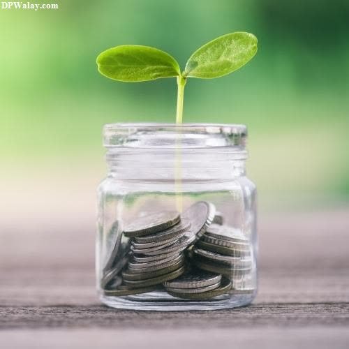 a jar filled with coins and a plant growing out of it 4k wallpaper for whatsapp dp
