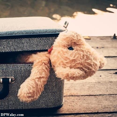 a teddy bear sitting in a suitcase on a dock 