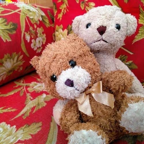 two teddy bears sitting on a red couch beautiful dp images for whatsapp