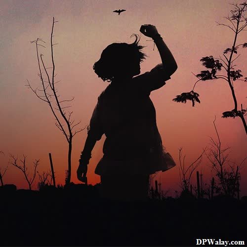 cute whatsapp dp - a silhouette of a person holding a bird