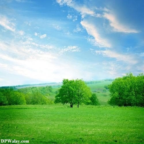 a field with trees and a blue sky 