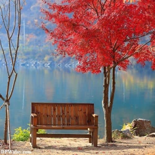 a bench in front of a lake with red leaves 