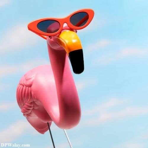 a pink flaming with sunglasses on it's head best profile pic for whatsapp 