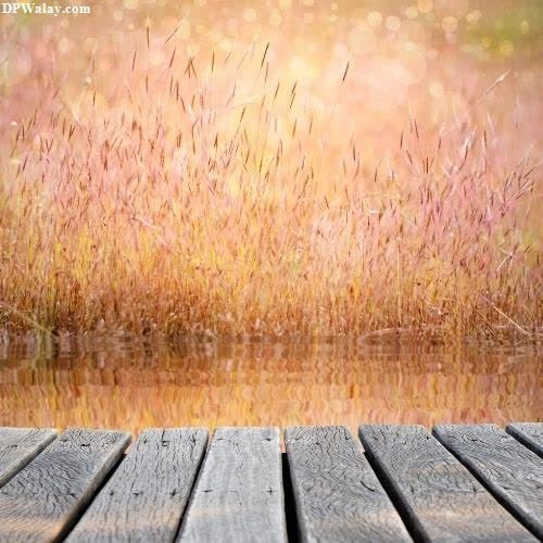 a wooden deck with grass and water best wallpapers for whatsapp dp
