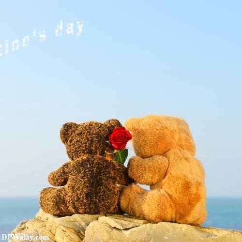 two teddy bears sitting on a rock with a rose in their mouth images by DPwalay