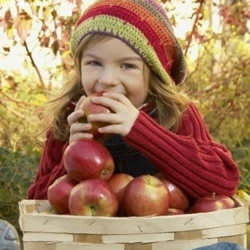 a little girl sitting in a basket of apples