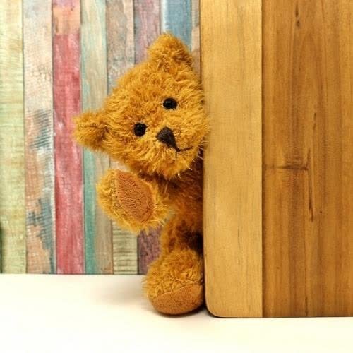 a teddy bear sitting behind a wooden board images by DPwalay