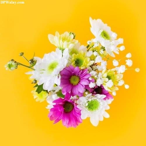 free-images-of-flowers