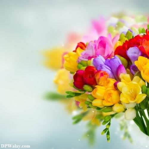 beautiful-flowers-download