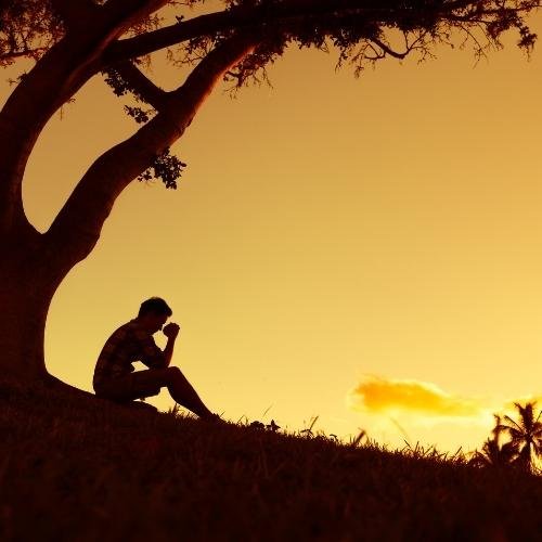 a man sitting under a tree at sunset