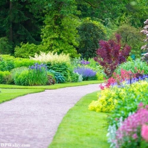 a path through a garden with lots of flowers 