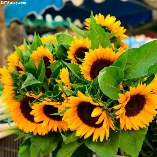 a bunch of sunflowers in a basket