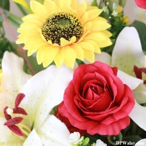 love-flowers-photos-for-whatsapp