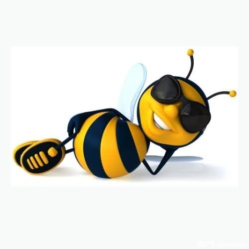 cool whatsapp dp - a cartoon bee with sunglasses on