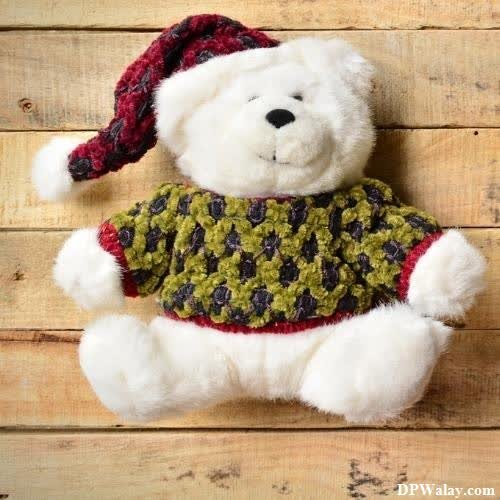 a stuffed bear wearing a green and red scarf nice cute whatsapp dp