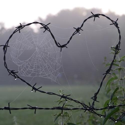 a spider web in the shape of a heart on a barbed fence