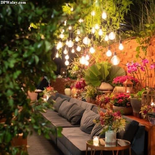 a living room with plants and lights wallpaper for dp whatsapp