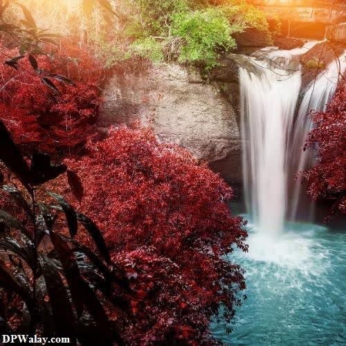 a waterfall in the forest with red leaves 