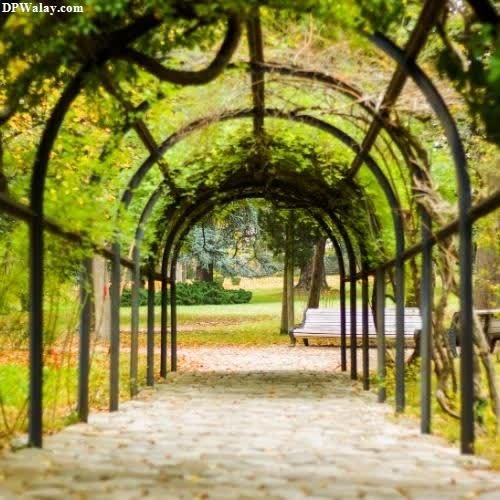 a walkway with trees and benches in the middle wallpaper hd for whatsapp dp 