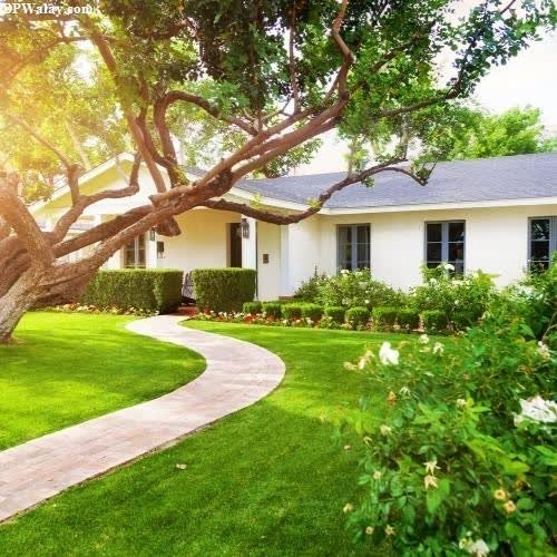 wallpaper for whatsapp dp - a house with a tree in the front yard