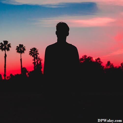 alone whatsapp dp - a man standing in front of palm trees at sunset