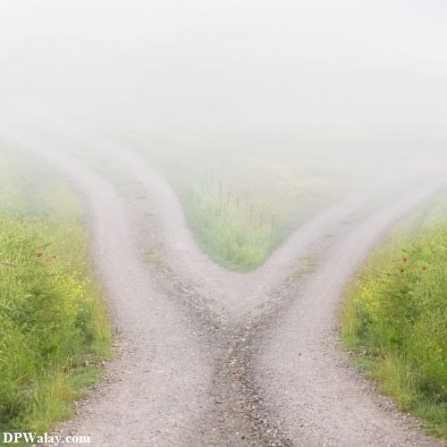 a road in the fog images by DPwalay