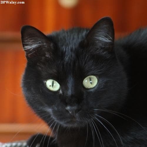 a black cat with green eyes sitting on a table