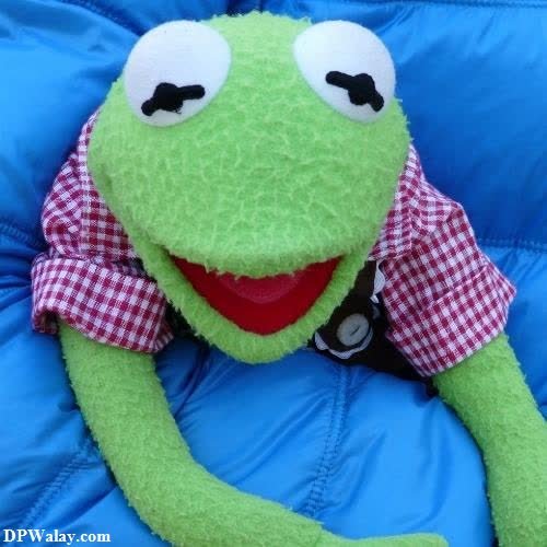 person the frog plush toy 