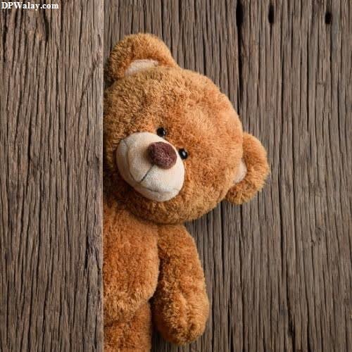 a teddy bear is peeking out of a wooden wall cute do 