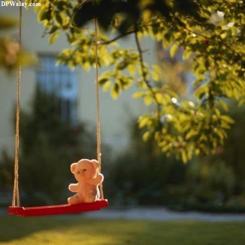 a teddy bear on a swing cute images for dp