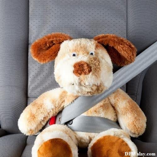 a stuffed dog sitting in the back seat of a car