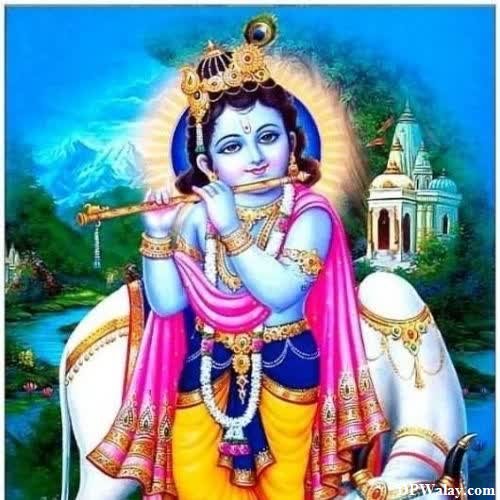 krishna DP - lord person is the hindu deity of hinduism, hinduism and hinduism hinduism hinduism hinduism hinduism hinduism hinduism hinduism