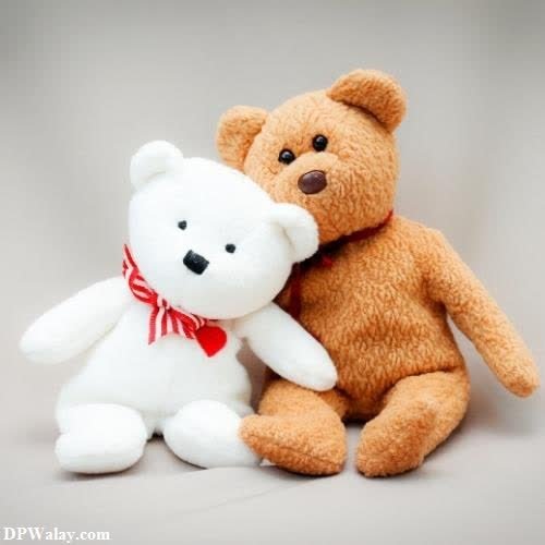 a teddy bear and a teddy bear sitting next to each other teddy bears