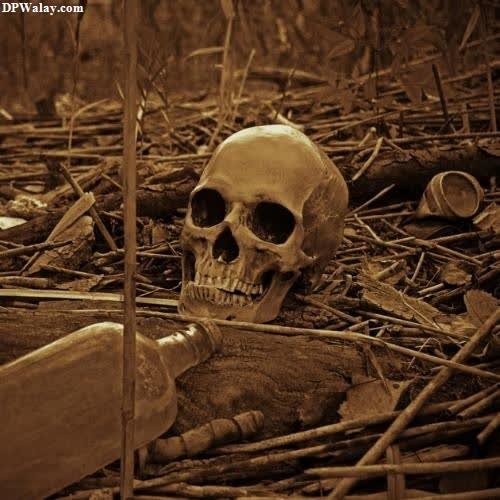 a skull in the middle of a field