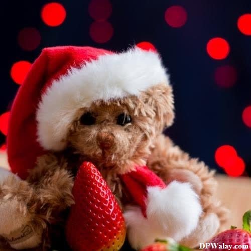 a teddy bear wearing a santa hat and eating a strawberry