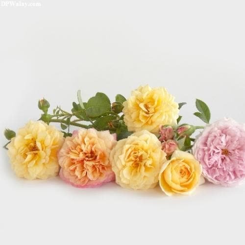 a bunch of yellow and pink roses