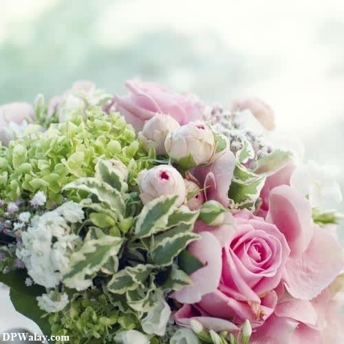 a bouquet of pink roses and green leaves dp images rose 