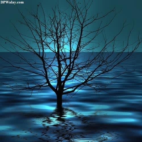 a tree in the water with a full moon in the background girls for dp 