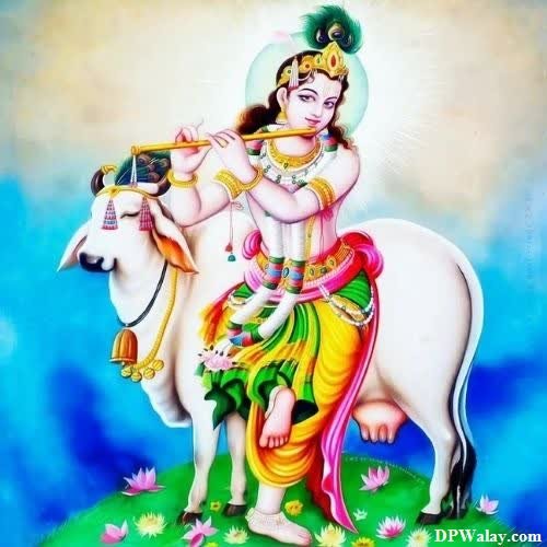 krishna DP - lord krishna on a cow