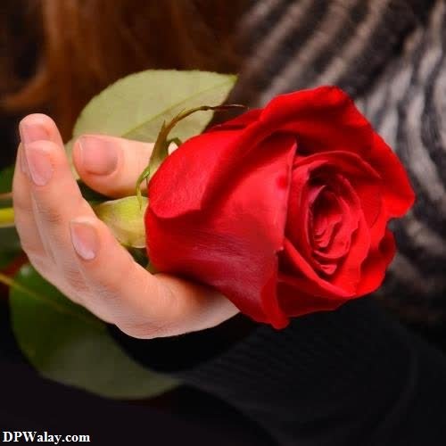 a woman holding a red rose in her hand