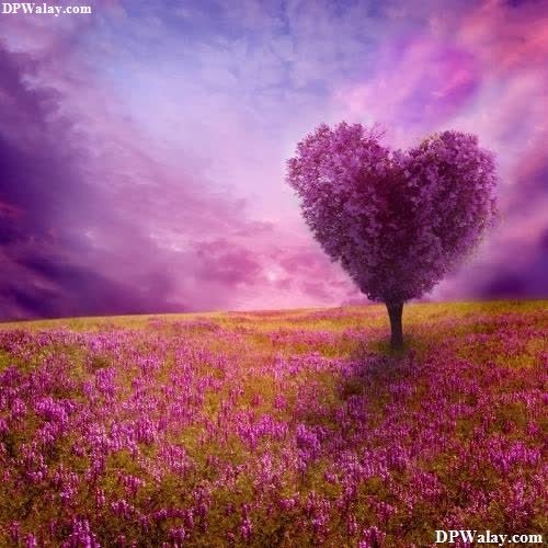 a tree in a field with purple flowers