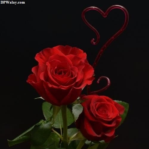 a red rose with a heart shaped stem 