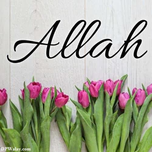 a bunch of pink tulips with the word allah