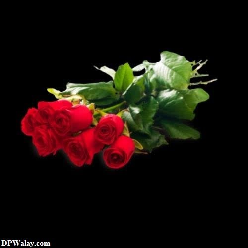 a bunch of red roses on a black background rose images for dp