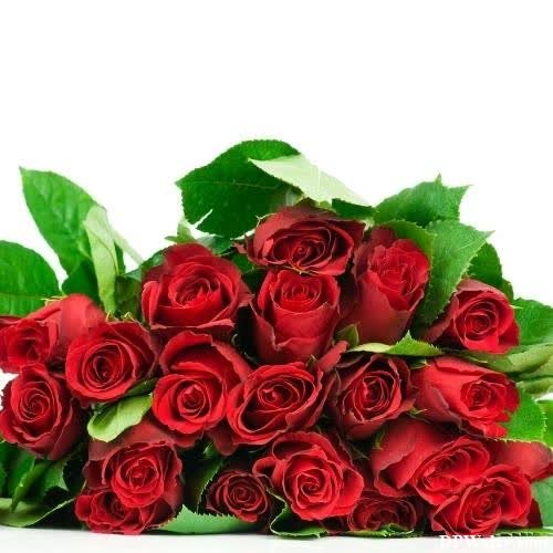 a bouquet of red roses-FiBN images by DPwalay