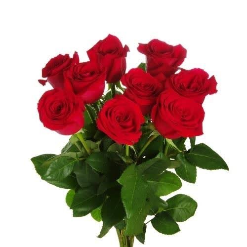 a vase filled with red roses on a white background rose images for dp 
