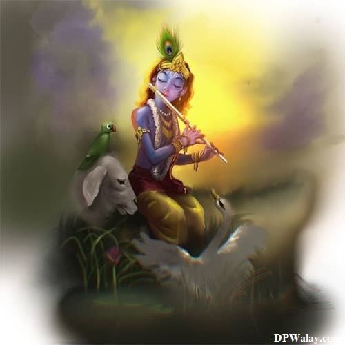 a woman sitting on a rock with a bird shri krishna dp