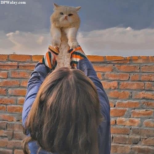 unique dp for whatsapp - a person holding a cat on their shoulders