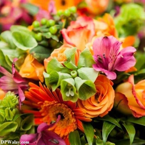 a bunch of flowers with green leaves and orange flowers images by DPwalay