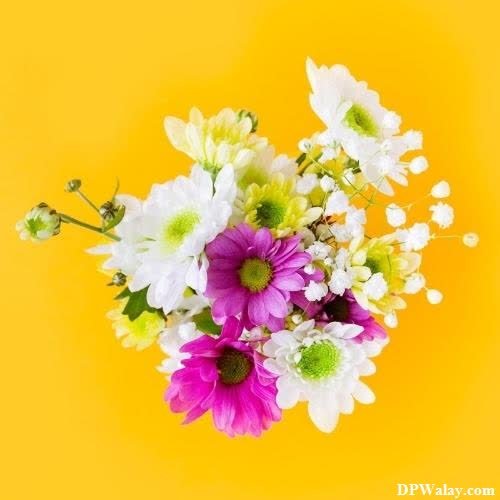 unique dp for whatsapp - a bouquet of flowers on a yellow background